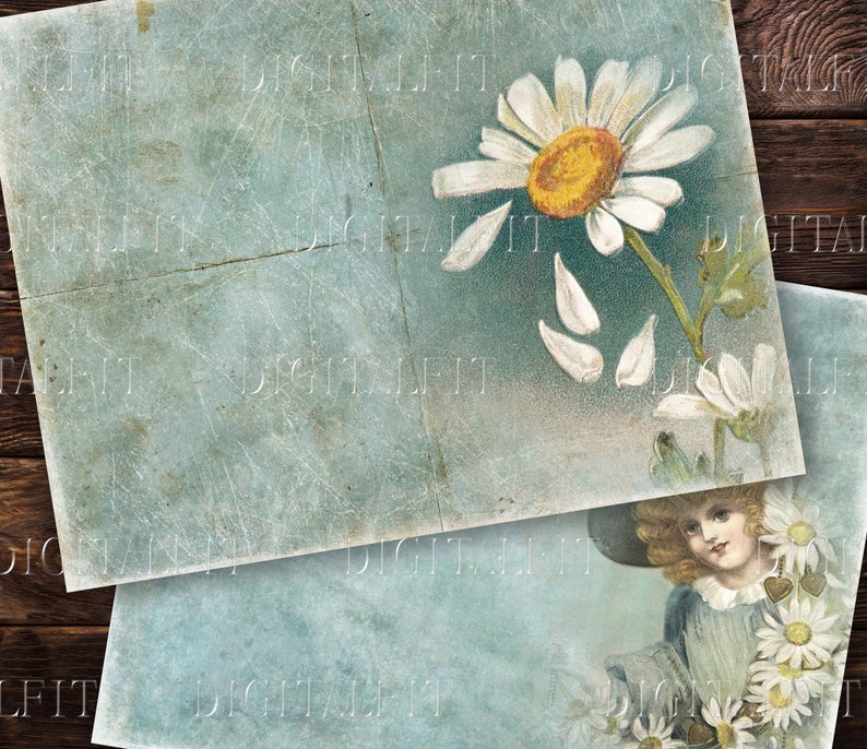 May include: Two vintage-style images with a blue background. The top image features a white daisy with a yellow center and petals falling from the flower. The bottom image features a young girl with long brown hair wearing a blue dress and holding a bouquet of white daisies.