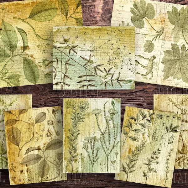 Botanical Junk Journal Printable, 14 Vintage Scrapbooking Pages, Plants Digital Collage Paper, PDF