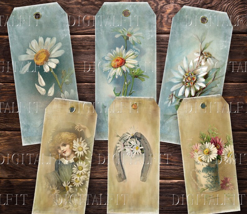 May include: Six vintage style gift tags with a blue background and a white border. Each tag features a different floral design with white daisies and a light blue background. The tags are perfect for adding a touch of vintage charm to your gifts.