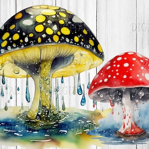 Champignon magique, champignon vénéneux lunatique, clipart 11 champignons, champignons mystiques, sorcellerie magique, usage commercial