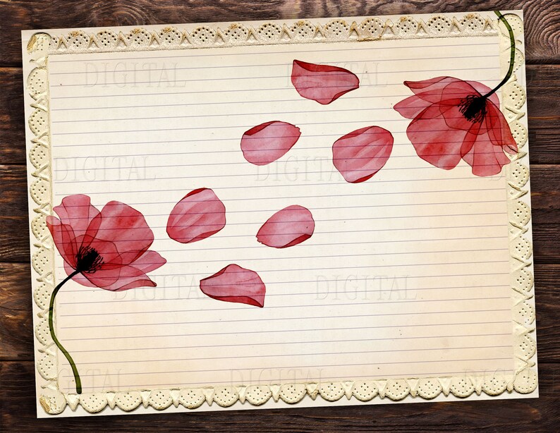 Printable Lined Paper Download 16 Poppy Flower Lined &amp; Blank - Etsy