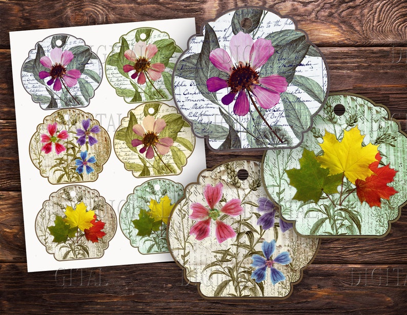 Dried Wildflowers Scrap Pack Pressed Flower Printable - Etsy