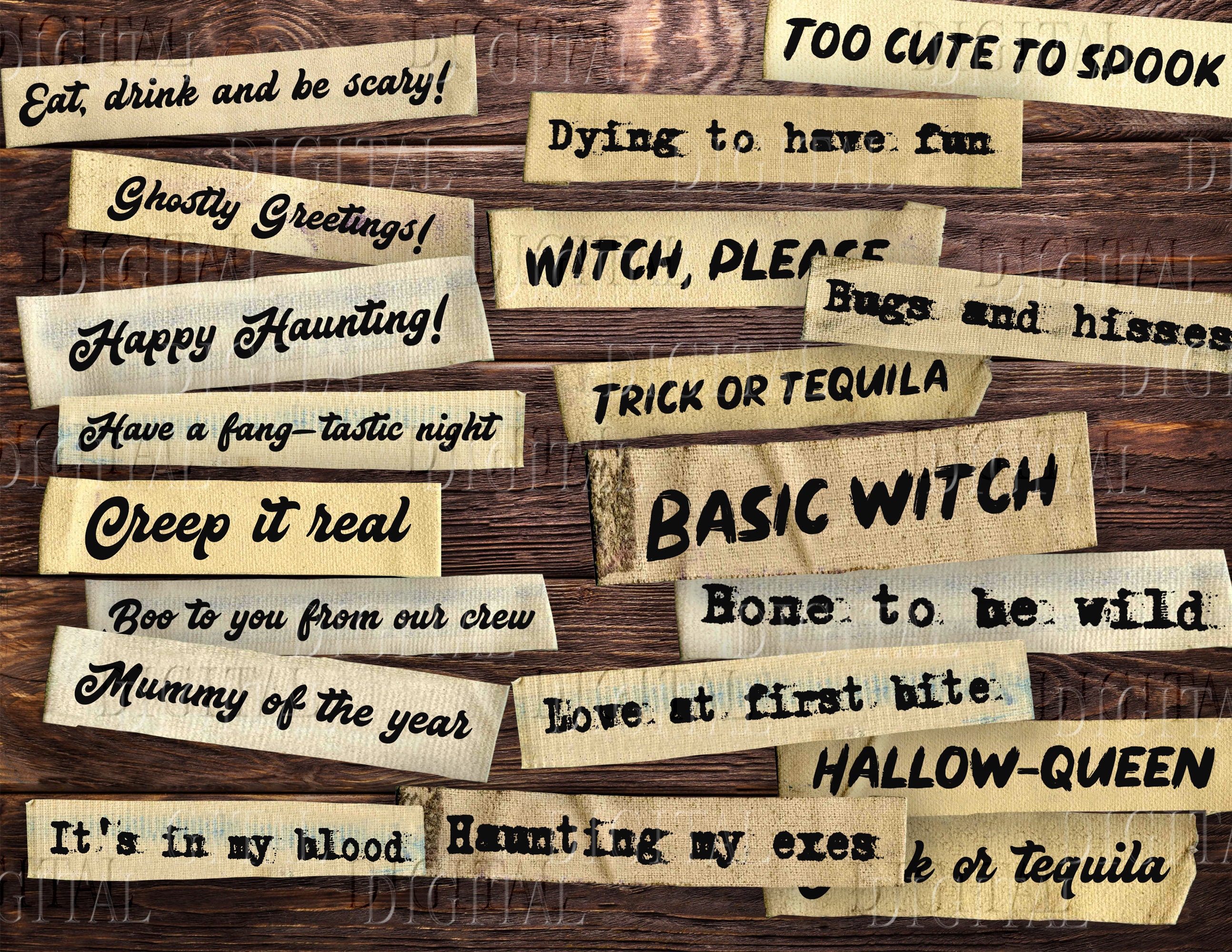 75 Best Halloween Wishes and Spooky Sayings 2023