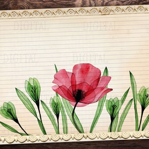 Printable Lined Paper Download, 16 Poppy Flower Lined &amp; Blank Pages ...
