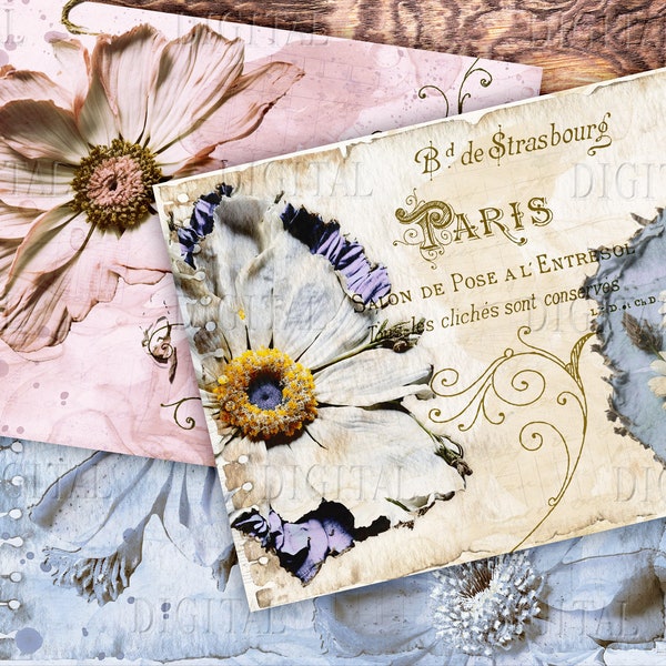 Amazing Pressed Flowers, 10 Junk Journal Pages, Dried Daisy Paper, PDF