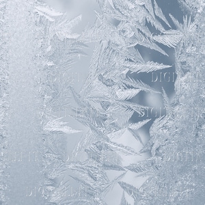 May include: A close-up of a frosted window pane with intricate ice crystals forming a delicate pattern. The ice crystals are a light blue color and create a beautiful, natural design.
