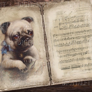 May include: An antique book with a vintage illustration of a pug on the left page and sheet music on the right page. The book is open and the pages are yellowed with age.