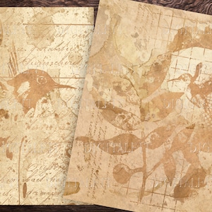 Könnte beinhalten: Zwei Vintage-Papiertexturen mit einem abgenutzten, gealterten Look. Ein Blatt zeigt eine Kolibri-Silhouette mit einem Gittermuster, während das andere eine Kolibri-Silhouette und handschriftlichen Text hat.