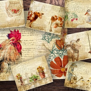 K&ouml;nnte beinhalten: Eine digitale Collage aus Vintage-Bildern mit einem Hahn, einer Kuh, einem Lamm, einer Ente, einer Schaukel, einer Gie&szlig;kanne und Blumen. Die Bilder sind auf einem Hintergrund aus handschriftlichem Text &uuml;berlagert.