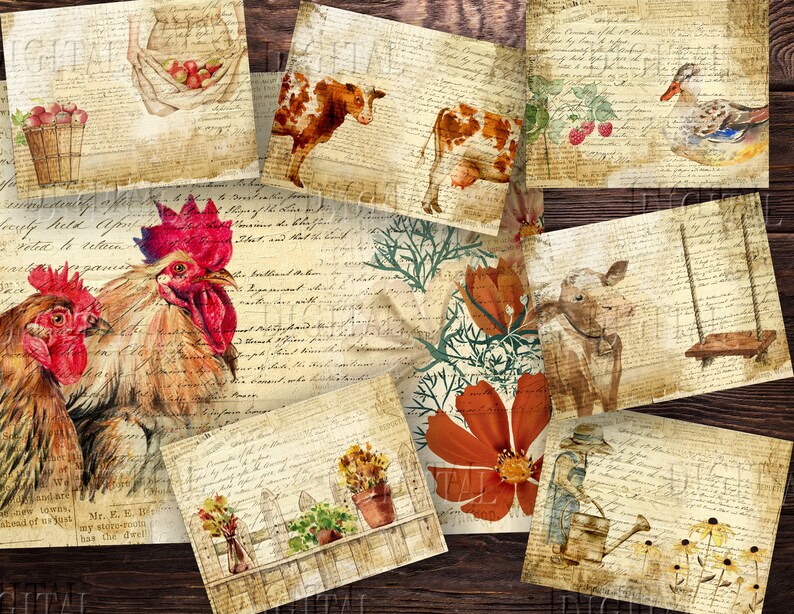 K&ouml;nnte beinhalten: Eine digitale Collage aus Vintage-Bildern mit einem Hahn, einer Kuh, einem Lamm, einer Ente, einer Schaukel, einer Gie&szlig;kanne und Blumen. Die Bilder sind auf einem Hintergrund aus handschriftlichem Text &uuml;berlagert.