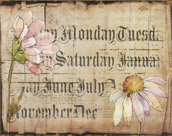Vintage Daisies Junk Journal Paper, 4 Digital Botanical Collage Pages, Set 4, Instant Download, PDF