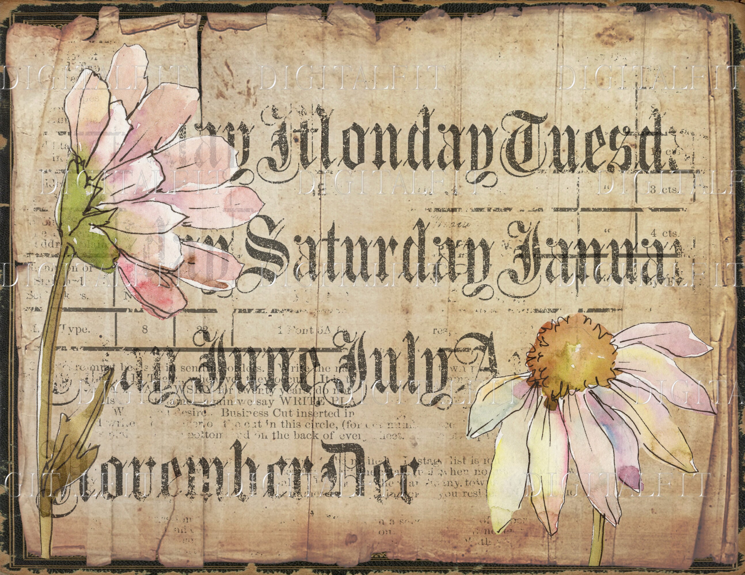 Vintage Daisies Junk Journal Paper, 4 Digital Botanical Collage Pages, Set 4, Instant Download, PDF