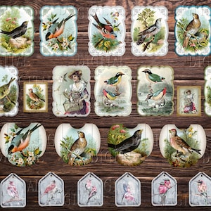 Oiseaux éphémères 30 pcs, Journal indésirable Oiseaux, Imprimable Oiseaux de jardin, PDF