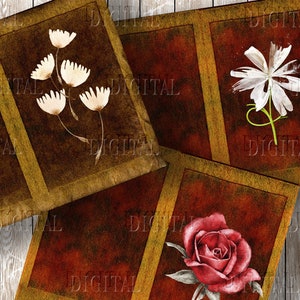 May include: Three vintage-style cards with floral illustrations. The first card features a cluster of white flowers with brown stems on a brown background. The second card features a single white flower with a green stem on a red background. The third card features a red rose with green leaves and stem on a red background.