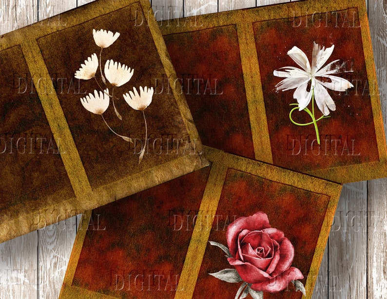 May include: Three vintage-style cards with floral illustrations. The first card features a cluster of white flowers with brown stems on a brown background. The second card features a single white flower with a green stem on a red background. The third card features a red rose with green leaves and stem on a red background.
