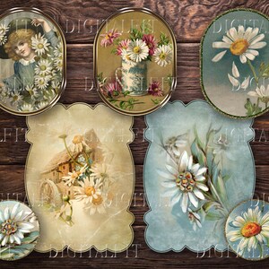 May include: Six vintage oval-shaped frames with ornate gold trim, each featuring a different floral design. The frames are arranged on a rustic wooden background. The floral designs include daisies, roses, and other wildflowers.