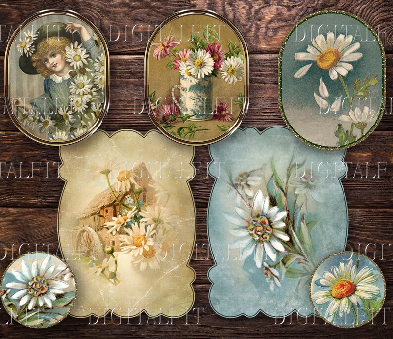 May include: Six vintage oval-shaped frames with ornate gold trim, each featuring a different floral design. The frames are arranged on a rustic wooden background. The floral designs include daisies, roses, and other wildflowers.