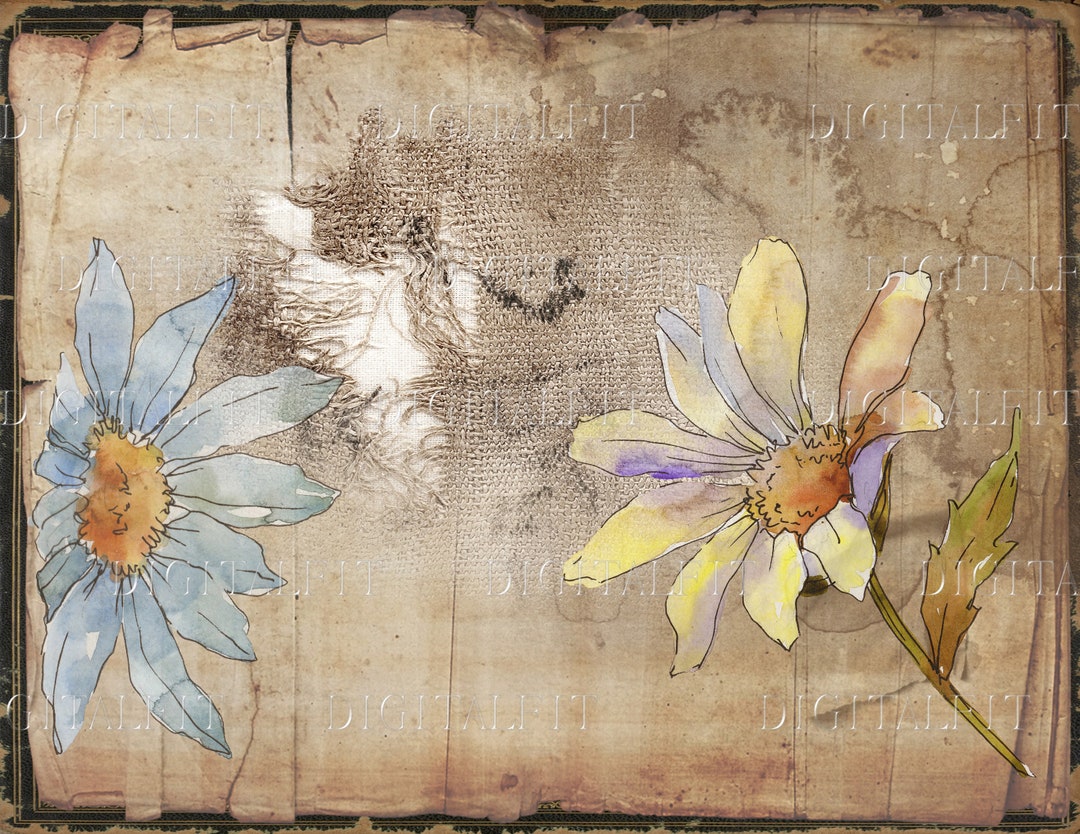 Daisy Flowers Junk Journal Pages, Set-2, Digital Botanical Collage, PDF ...