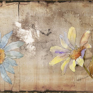 Daisy Flowers Junk Journal Pages, set-2, digitale botanische collage, pdf