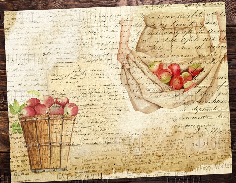 K&ouml;nnte beinhalten: Ein Vintage-Bild mit einem handgeschriebenen Hintergrund, auf dem eine Frau einen Korb mit roten &Auml;pfeln h&auml;lt. Der Korb ist aus geflochtenem Holz und hat einen braunen Griff. Die &Auml;pfel sind rot und gr&uuml;n und liegen in einem Haufen im Korb. Die Frau tr&auml;gt ein wei&szlig;es Kleid und h&auml;lt ihre H&auml;nde um den Korb geschlossen. Der Hintergrund ist ein Vintage-Papier mit handgeschriebenem Text.