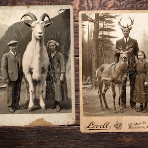 Riesige Tiere & Vintage Menschen, Distressed Photos, Junk Journal Ephemera, Alte Fotografien, PDF