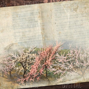 Peut inclure: Une image de style vintage d'une page d'un livre avec un fond d&eacute;lav&eacute; et une peinture d'une rang&eacute;e d'arbres en fleurs roses et blanches. Les arbres sont dans un champ avec un fond brumeux.