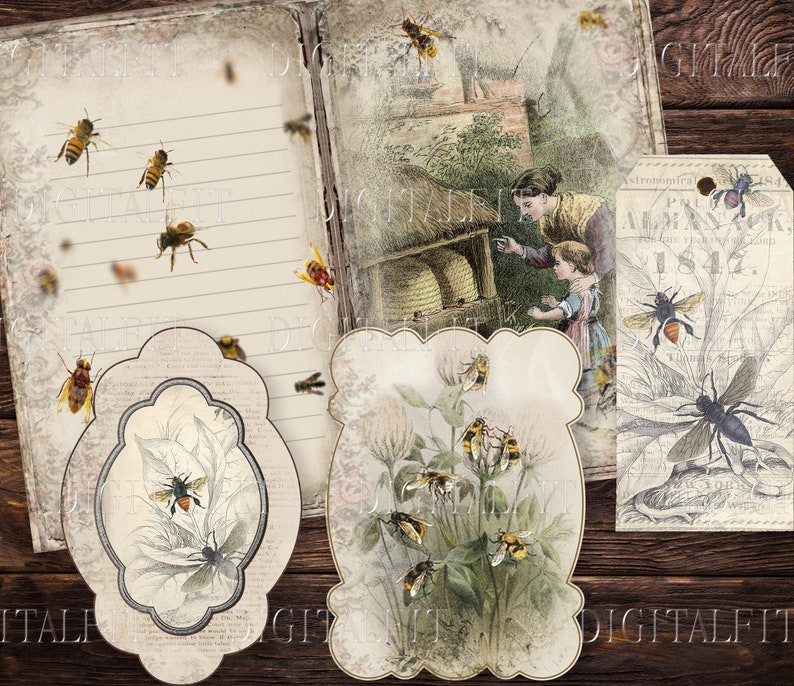 May include: A vintage journal page with a handwritten note section and a decorative image of a beehive with bees flying around it. The page is surrounded by a wooden frame and a tag with the text "Astronomica 1842".