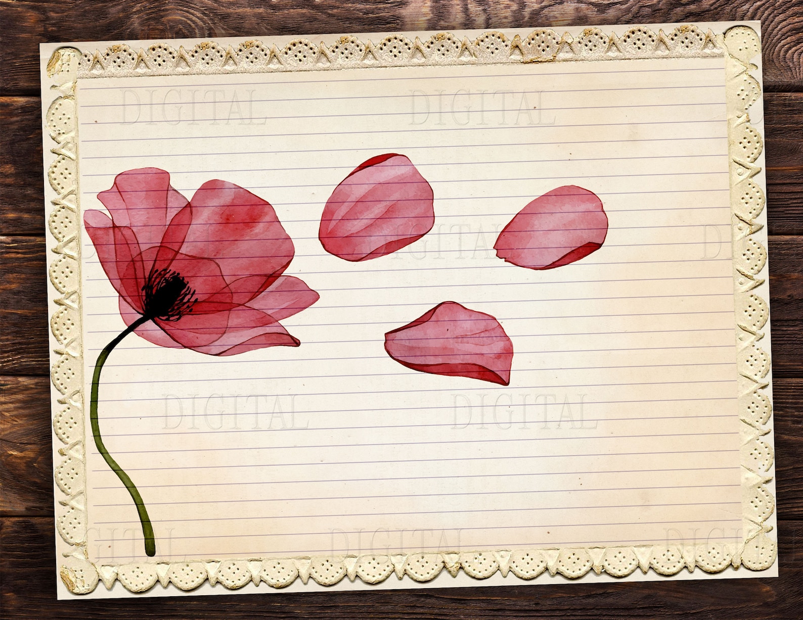 Printable Lined Paper Download 16 Poppy Flower Lined & Blank - Etsy