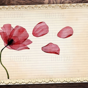 Printable Lined Paper Download, 16 Poppy Flower Lined &amp; Blank Pages ...