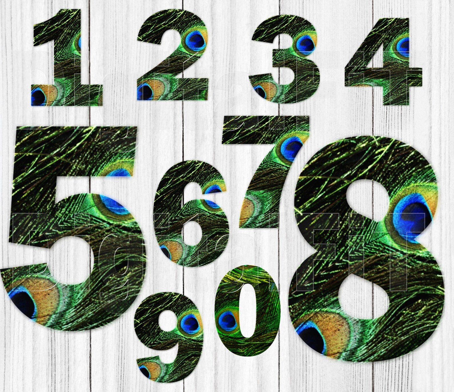 Peacock Numbers Digital Numbers PNG Etsy