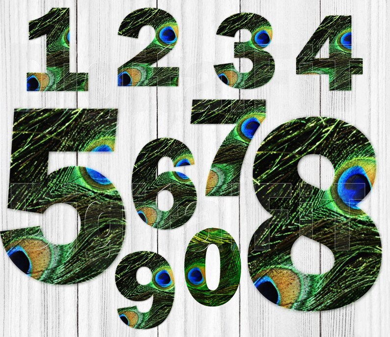 Peacock Numbers Digital Numbers PNG Etsy