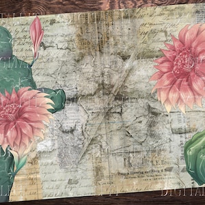 Cactus e vecchie finestre, pagine di diario spazzatura, carta stampabile, foglio collage, PDF