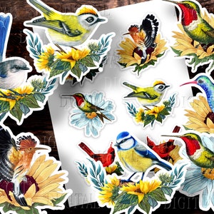 Afdrukbare kit vogels en zonnebloemen kieskeurig, 12 vintage vogelafbeeldingen, junkjournals Ephemera Junk