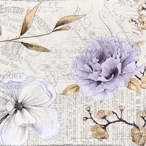Junk Journal Pages, papel digital Amazing Flowers, 5 páginas para impressão 8,5 x 11