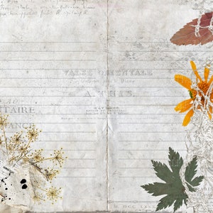 Grunge, macchiato, pagine di diario spazzatura a righe, fiori secchi carta stampabile digitale, vecchia consistenza della carta