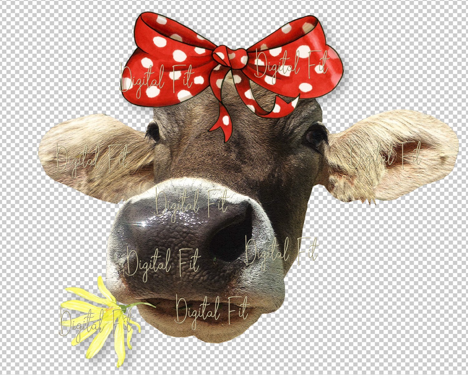 Cow Face With Bow Funny Farm Cow PNG Sublimation Design - Etsy UK