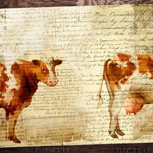 K&ouml;nnte beinhalten: Eine Vintage-Illustration von zwei braunen und wei&szlig;en K&uuml;hen mit roten und braunen Aquarellspritzer. Der Hintergrund ist eine Collage aus alten handgeschriebenen Texten und Zeitungsartikeln.