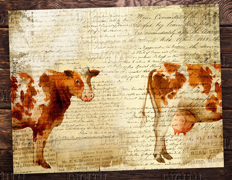 K&ouml;nnte beinhalten: Eine Vintage-Illustration von zwei braunen und wei&szlig;en K&uuml;hen mit roten und braunen Aquarellspritzer. Der Hintergrund ist eine Collage aus alten handgeschriebenen Texten und Zeitungsartikeln.