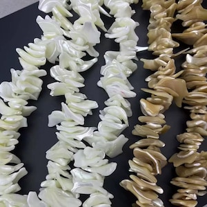 May include: Close-up of several strands of shell necklaces. The necklaces are made of irregular, flat shell pieces in shades of white and tan. The shells are strung together, creating a textured and organic look. The background is a dark, solid colour.