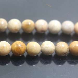 Natural  Fossil Coral Jasper  Round Beads,6mm 8mm 10mm 12mm  Fossil Coral Jasper Beads,  Fossil Coral Jasper Beads,Smooth Round beads