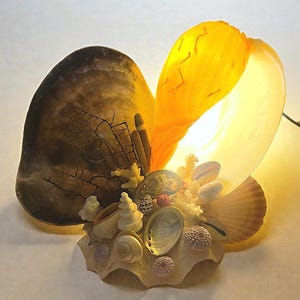 Abajur vintage francês em formato de concha, dos anos 1950/60 - Luminária de mesa feita com conchas verdadeiras - Decoração retrô com tema litorâneo