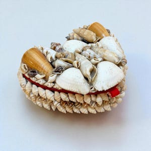 Coffret à Bijoux Vintage Avec Coquillages - Souvenir De Bord De Mer, Occasion Bon état