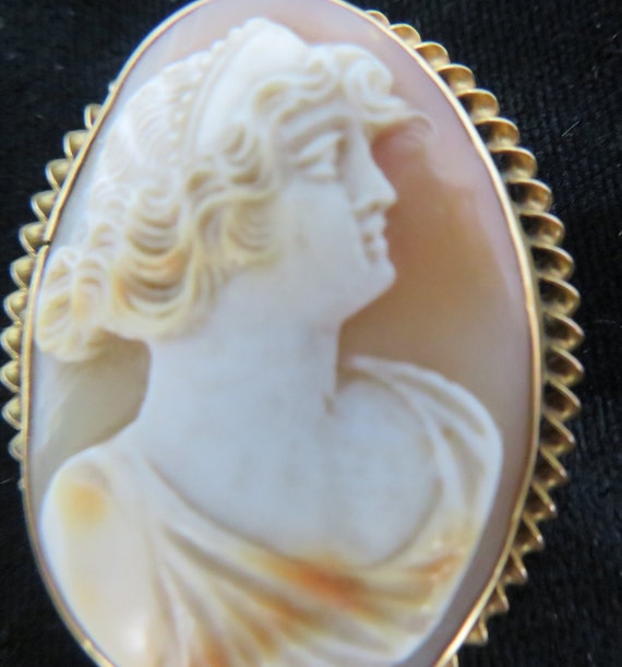 Cameo Brooch set in 10 kt gold - image 8