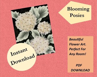 May include: A digital art print featuring white hydrangea blooms with green leaves against a black background. The image includes text that reads "Blooming Posies" and "Instant Download". The background is a coral color.