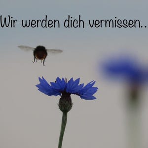 Wir werden dich vermissen