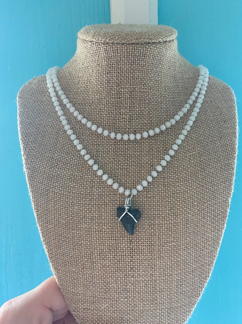 Real Authentic Shark Tooth Necklace