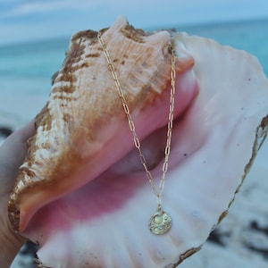 Collana con ciondolo a forma di moneta conchiglia placcata in oro 14 carati