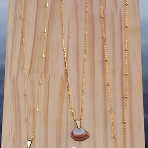 Collane di conchiglie di mare placcate in oro 18K