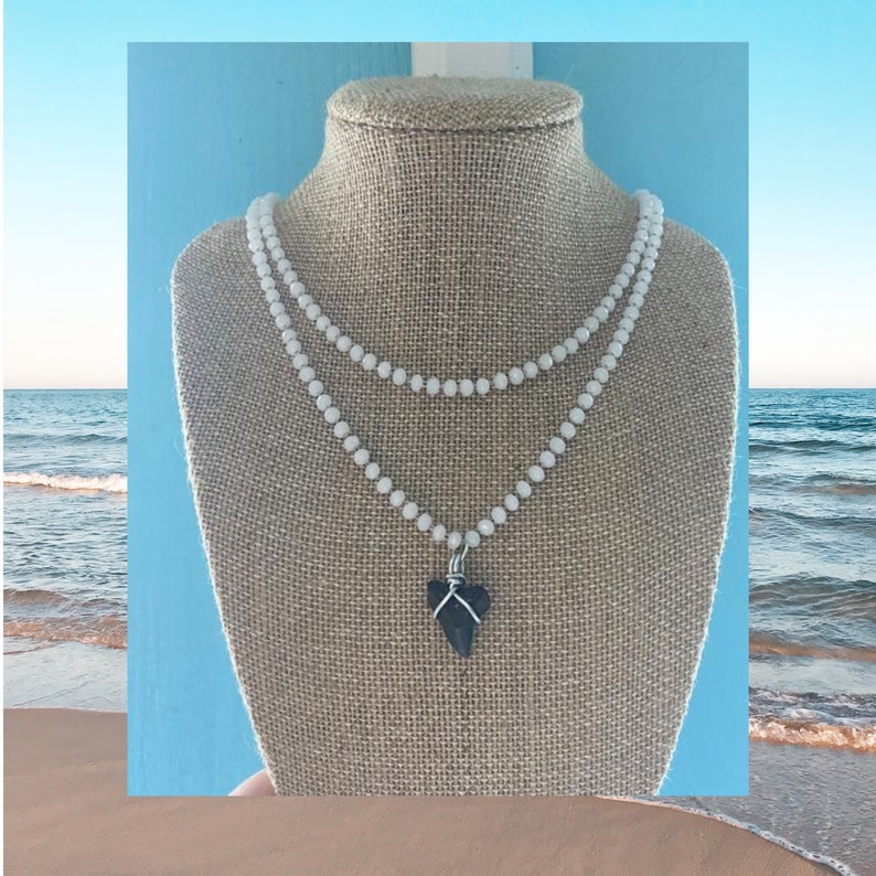 Real Authentic Shark Tooth Necklace