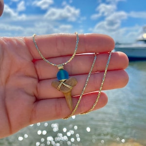 18K Gold Plated Shark Tooth Necklace